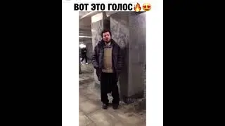 ПОЕТ В ПЕРЕХОДЕ ,поёт бездомный,ПОЕТ В МЕТРО СОВЕТСВУЮ ПЕСНЮ. Евграф Котлов Светит незнакомая звезда