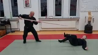 Ninpo Bugei Naginata