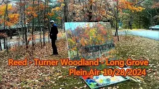 Reed - Turner Woodland - Long Grove - Plein Air  10 /28 /2024
