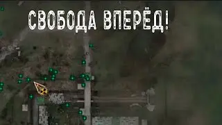 Свобода вперёд! STALKER