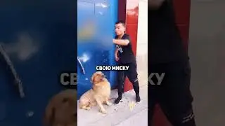 Курочке очень не повезло😔 