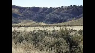 The Dry Mesa Dinosaur Quarry