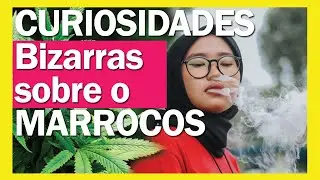 Conhecendo o Marrocos - Curiosidades bizarras