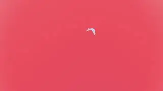 SHAED - Colorful with Kat Cunning (Official Audio)