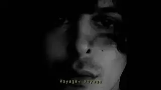 RUNES / VOYAGE VOYAGE  (Desireless cover)