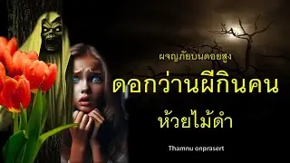 ๑๗๑.ดอกว่านผีกินคน ห้วยไม้ดำ ผจญภัยบนดอยสูง