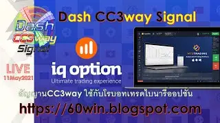 Live: Dash CC3way Signal for MT2Trading+MT4 to IQ Option Trading 2021-5-11 EP.1
