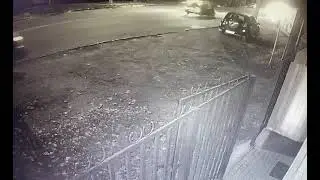 Мужчина травит собак 2