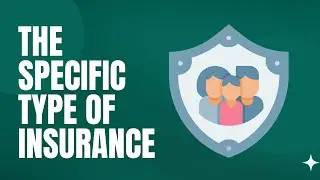 Whether Or Not Insurance Is An Asset Depends On The Specific Type Of Insurance