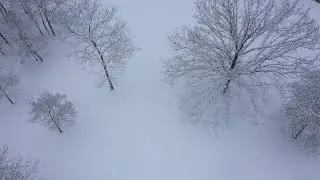 Snow Day
