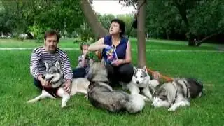 О друге