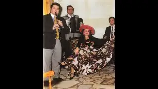 Panseluta Feraru -  Suparare, suparare
