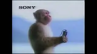 When you finally fix audio code, but service is shutdown