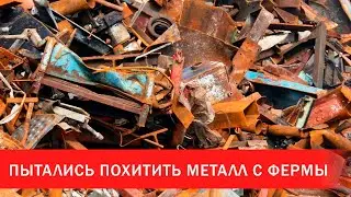 Гастролеры пытались похитить металл с фермы | Зона Х