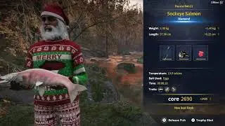 We're back! Diamond 💎 sockeye lThe Angler