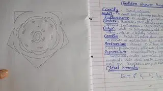 How to make Practical Notebook 📒|| 1st year & 2nd year Biology 🧫 Practical Notebook 📓