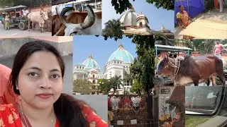 Dipdane hothat Mayapur ghure elam!
