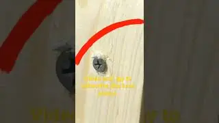 awesome Handyman ideas