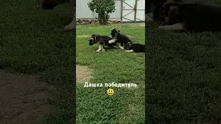 31 августа 2024 г.