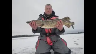 Зимняя рыбалка в Латвии!  На Рыбалку,для души!!!