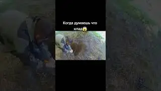 Сказали что там клад😂Роет как экскаватор👍#shorts