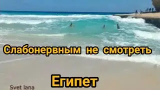 Слабонервным не смотреть. И такое случается в Египте. Пляж Palm beach в Аль- Аджми возле Александрии