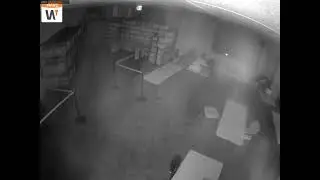 Camera 7: 11/5/2024 (12:02:29 AM Start)
