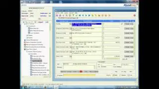 Roadmap ERP Planning Flow
