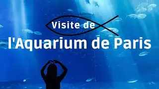 Visiting the Aquarium of Paris