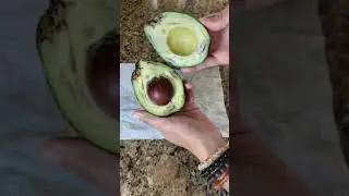 Would you eat avocado with sweet condensed milk?
