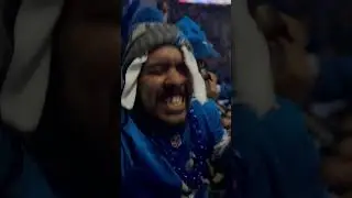 Go lions.