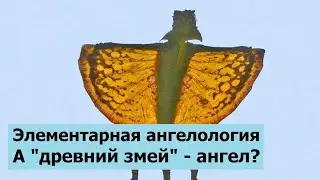 Элементарная ангелология. А змей - ангел?