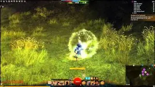 Guild Wars 2 Legendary Weapons (All Legendaries*)
