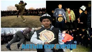 Курош Алтын курга
