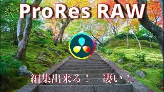 DAVINCI RESOLVE 17でProRes RAW編集！Raw Convertor使用　How to edit ProRes RAW with DaVinci Resolve 17