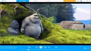 RealPlayer - How to Fix Your Real Player SP Video Library Problem