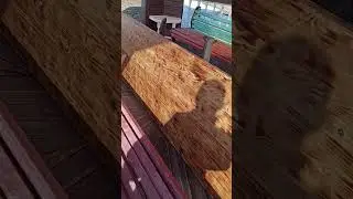 #калиграфия