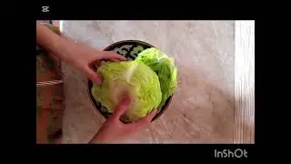Nima ovqat qilsam ekan 