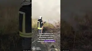 🔥 Гасили 13 годин: на Волині горів торфяник