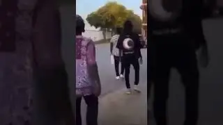 чайки