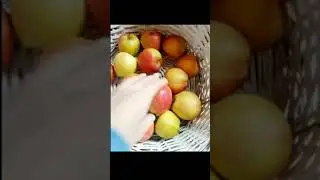 будешь яблоко?☺️