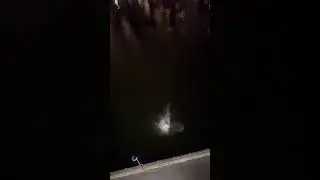 ЛИТВИН ПРЫГНУЛ С 5 ЭТАЖА😱😱😱