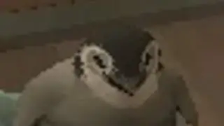 unstoppable force meets immovable object