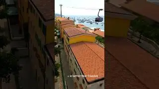 Sense of Flying, A Sense of Freedom