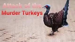 Attack of the Murder Turkeys - Ep.13 - Ark: Survival Evolved