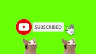 green screen sub button