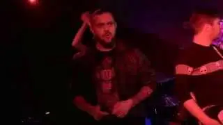Линия МОЛОТОВа feat. Роман Рогачёв – Сука (E.S.T. cover)