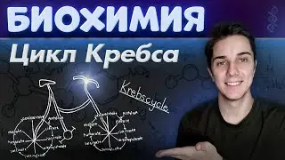 KREBS CYCLE | You'll REMEMBER it FOREVER with THIS song | TCA (tricarboxylic acid cycle)