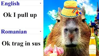 Ok I pull up in different languages meme