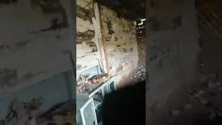 5 октября 2019 г.